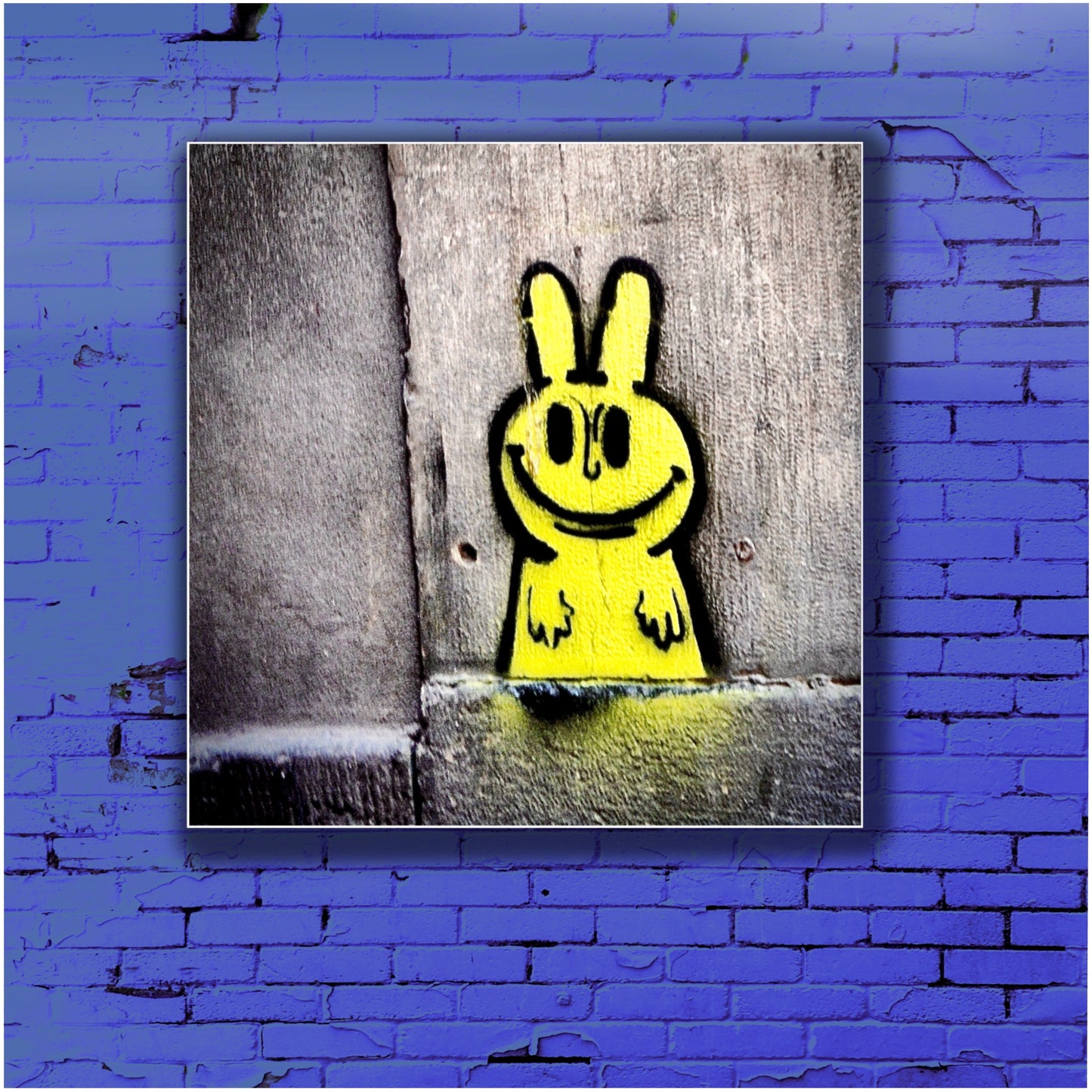 Yellow Rabbit of Venice.