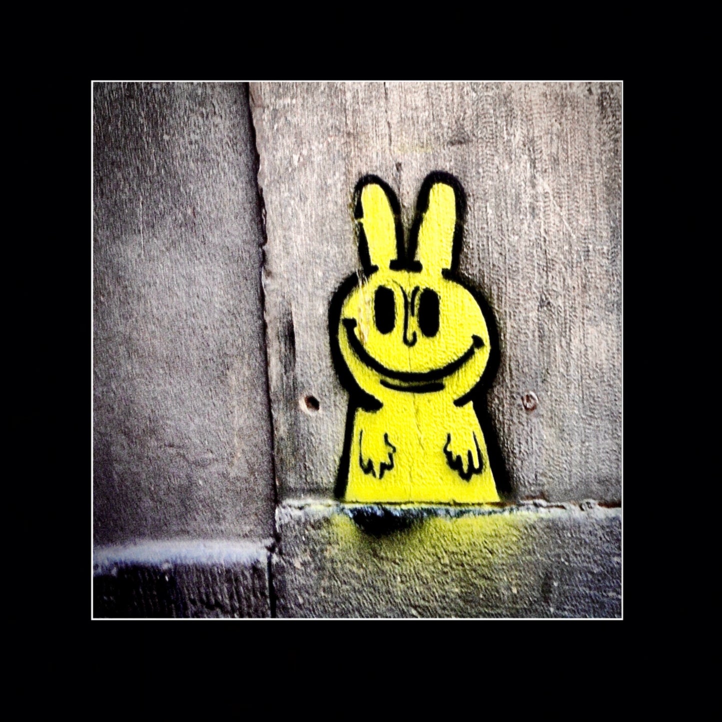 Yellow Rabbit of Venice.